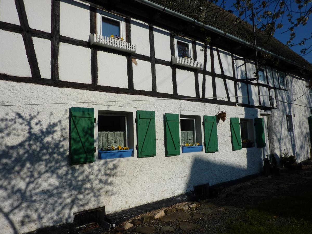 Kowalowka Apartment Mirsk Exterior photo